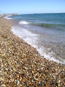 225246_4248737302_264_n