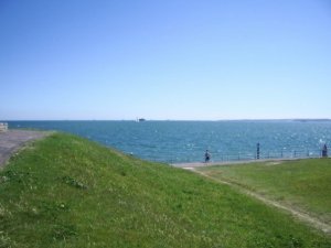 225561_4248722302_9420_n