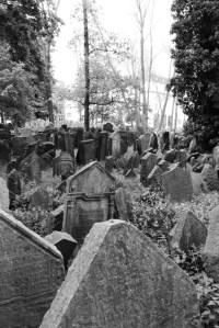 13936098817_a9e37c4790_b