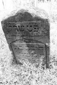 14099613626_2ec8dbc2df_b