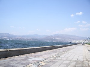 LMG67320211893468_000194