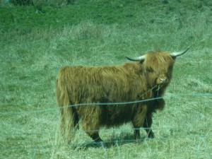 11110061_10152712854587303_2251096650254891123_n