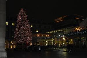 10801537_10152404025792303_6199273679749627081_n