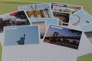 nos curieux voyageurs 12