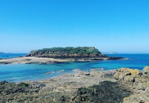 17796254_748372978664506_7060178971265031267_n-300x209