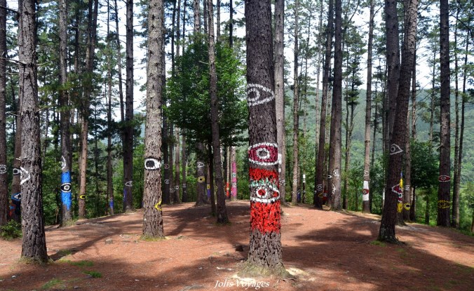 Foret-animee-Oma-Espagne