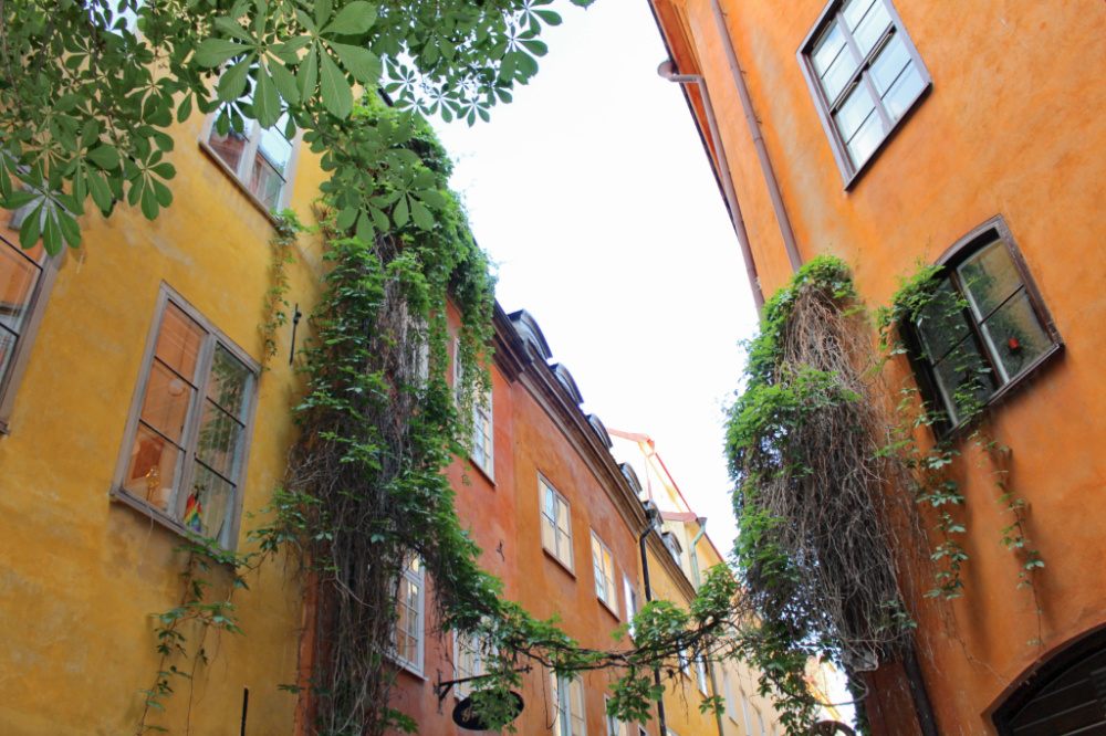 Stockholm Gamla Stan 2