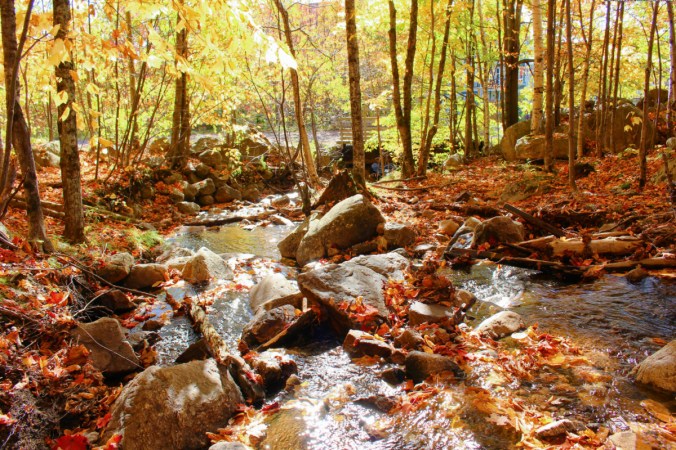 mont tremblant bois canada