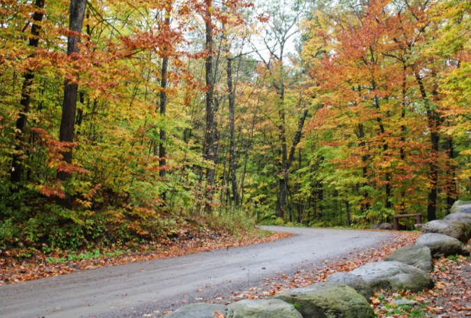 parc de la Gatineau 3 Ottawa Québec