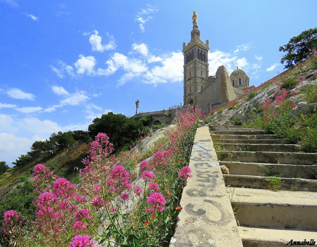 Marseille Bonne Mère 14