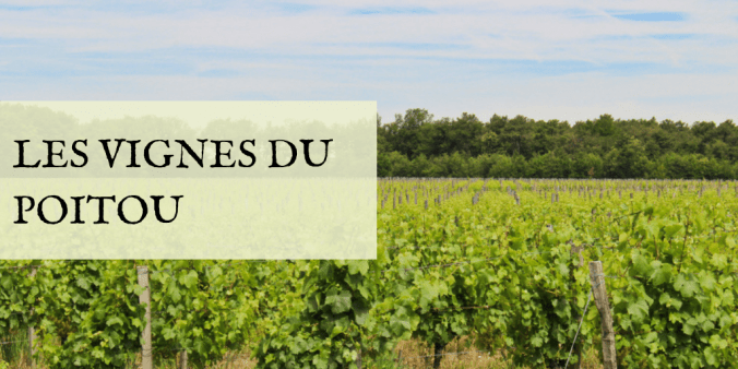 LES VIGNES DU POITOU
