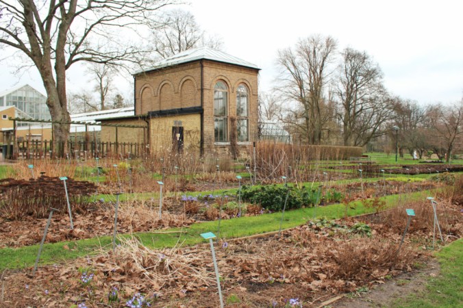 jardin botanique 2 Lund Suède