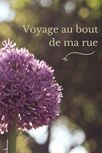 Voyage au bout de ma rue (1)