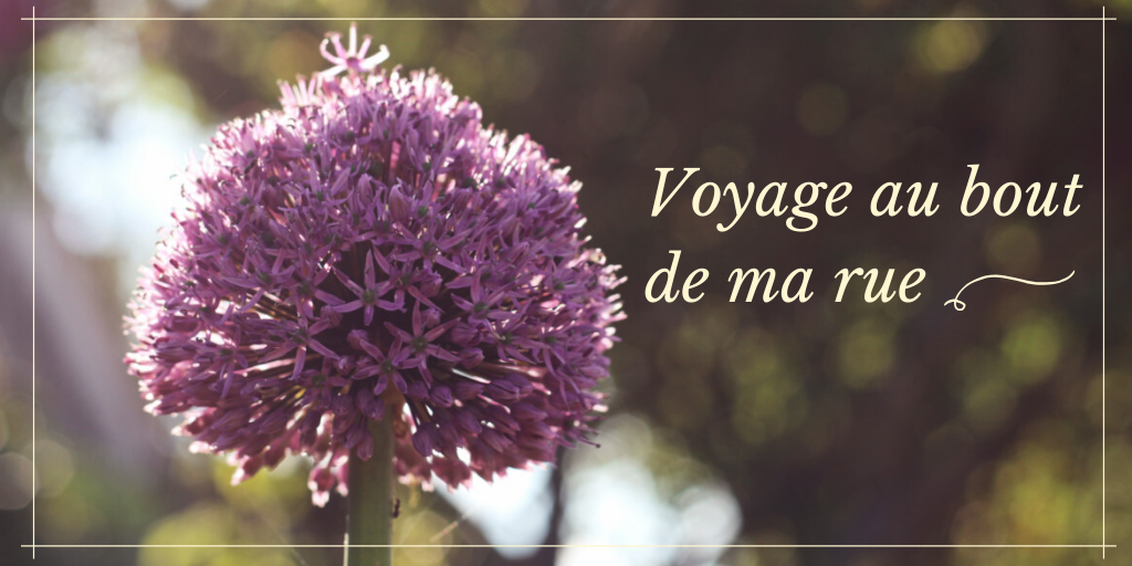 Voyage au bout de ma rue