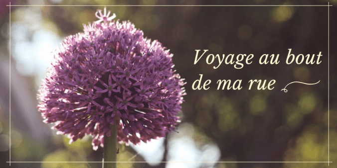 Voyage au bout de ma rue