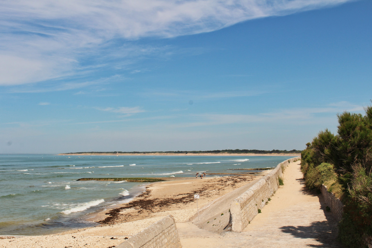 chemin derrière phare des baleines île de ré