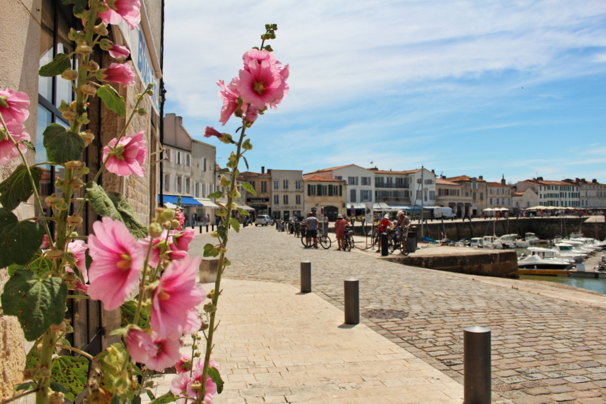 passeroses st martin en ré