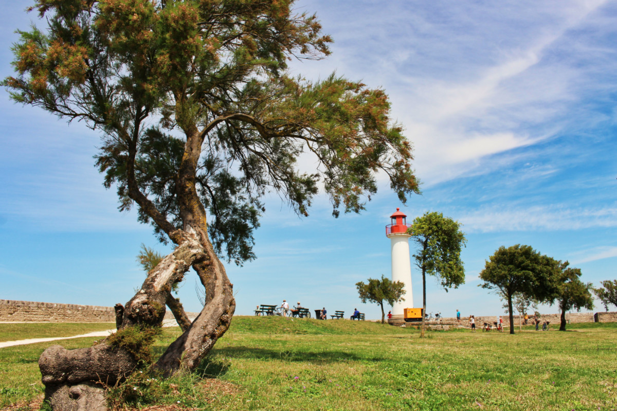 phare St Martin île de ré